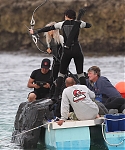 Filename=November_262C_2012.jpg
Filesize=2253KiB
Dimensions=2044x3000
Date added=Feb 04, 2014 November_262C_2012.jpg