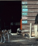 Production_Stills_282029~1.jpg