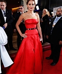 RED_CARPET_January_13_-_70th_Annual_Golden_Globe_Awards_286129.jpg