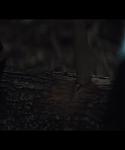The_Hunger_Games_Catching_Fire_2013_1080p_BluRay_x264_AAC_-_Ozlem_05135.jpg
