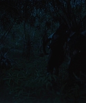 The_Hunger_Games_Catching_Fire_2013_1080p_BluRay_x264_AAC_-_Ozlem_08039.jpg