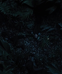The_Hunger_Games_Catching_Fire_2013_1080p_BluRay_x264_AAC_-_Ozlem_08071.jpg