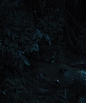 The_Hunger_Games_Catching_Fire_2013_1080p_BluRay_x264_AAC_-_Ozlem_08265.jpg