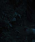 The_Hunger_Games_Catching_Fire_2013_1080p_BluRay_x264_AAC_-_Ozlem_08266.jpg