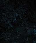 The_Hunger_Games_Catching_Fire_2013_1080p_BluRay_x264_AAC_-_Ozlem_08269.jpg