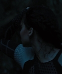The_Hunger_Games_Catching_Fire_2013_1080p_BluRay_x264_AAC_-_Ozlem_08342.jpg