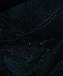 The_Hunger_Games_Catching_Fire_2013_1080p_BluRay_x264_AAC_-_Ozlem_08357.jpg
