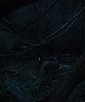 The_Hunger_Games_Catching_Fire_2013_1080p_BluRay_x264_AAC_-_Ozlem_08358.jpg