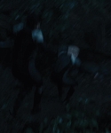 The_Hunger_Games_Catching_Fire_2013_1080p_BluRay_x264_AAC_-_Ozlem_08536.jpg