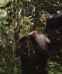 Filename=The_Hunger_Games_Catching_Fire_2013_1080p_BluRay_x264_AAC_-_Ozlem_09466.jpg
Filesize=488KiB
Dimensions=1920x1080
Date added=Mar 31, 2014 The_Hunger_Games_Catching_Fire_2013_1080p_BluRay_x264_AAC_-_Ozlem_09466.jpg