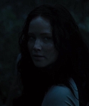 The_Hunger_Games_Catching_Fire_2013_1080p_BluRay_x264_AAC_-_Ozlem_10279.jpg
