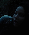 The_Hunger_Games_Catching_Fire_2013_1080p_BluRay_x264_AAC_-_Ozlem_10374.jpg