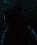 The_Hunger_Games_Catching_Fire_2013_1080p_BluRay_x264_AAC_-_Ozlem_10381.jpg