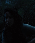 The_Hunger_Games_Catching_Fire_2013_1080p_BluRay_x264_AAC_-_Ozlem_10383.jpg