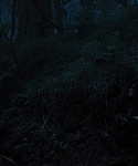 The_Hunger_Games_Catching_Fire_2013_1080p_BluRay_x264_AAC_-_Ozlem_10394.jpg
