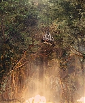 The_Hunger_Games_Catching_Fire_2013_1080p_BluRay_x264_AAC_-_Ozlem_10776.jpg