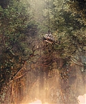 The_Hunger_Games_Catching_Fire_2013_1080p_BluRay_x264_AAC_-_Ozlem_10778.jpg