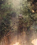 The_Hunger_Games_Catching_Fire_2013_1080p_BluRay_x264_AAC_-_Ozlem_10779.jpg