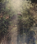 The_Hunger_Games_Catching_Fire_2013_1080p_BluRay_x264_AAC_-_Ozlem_10781.jpg