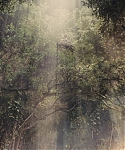 The_Hunger_Games_Catching_Fire_2013_1080p_BluRay_x264_AAC_-_Ozlem_10782.jpg