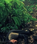 The_Hunger_Games__Catching_Fire_28Behind_the_Scenes29_2835929.jpg