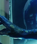 X_Men_Days_of_Future_Past_2014_2810829.jpg