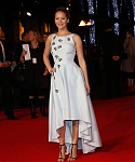 _Mockingjay__Part_1__World_Premiere_in_London_285729.jpg