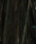 cf-finaltrailer-0005.jpg