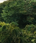 cf-finaltrailer-0011.jpg