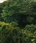 cf-finaltrailer-0012.jpg