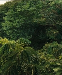 cf-finaltrailer-0013.jpg