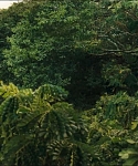 cf-finaltrailer-0014.jpg