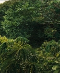 cf-finaltrailer-0015.jpg