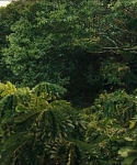 cf-finaltrailer-0016.jpg