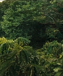 cf-finaltrailer-0018.jpg