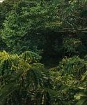 cf-finaltrailer-0019.jpg