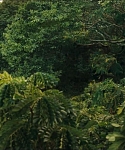 cf-finaltrailer-0020.jpg