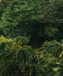 cf-finaltrailer-0021.jpg