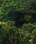 cf-finaltrailer-0022.jpg
