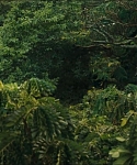 cf-finaltrailer-0023.jpg