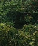 cf-finaltrailer-0029.jpg