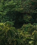 cf-finaltrailer-0030.jpg