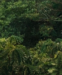 cf-finaltrailer-0031.jpg