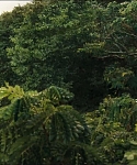 cf-finaltrailer-0101.jpg