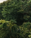 cf-finaltrailer-0102.jpg