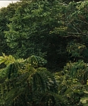 cf-finaltrailer-0103.jpg
