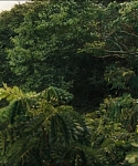 cf-finaltrailer-0104.jpg