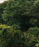 cf-finaltrailer-0105.jpg