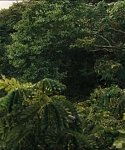 cf-finaltrailer-0106.jpg