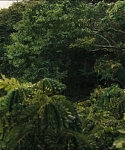 cf-finaltrailer-0107.jpg